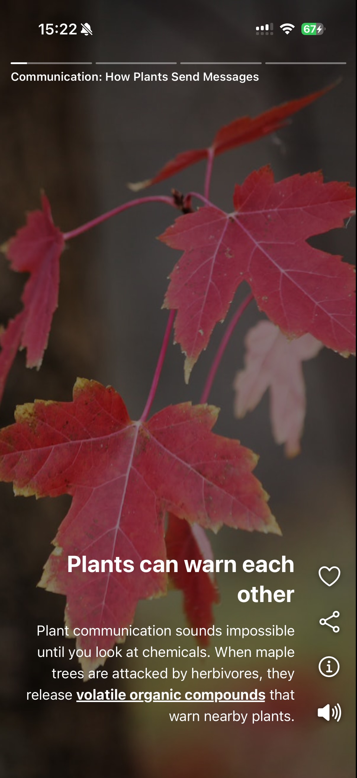 Less Brainrot. More Brain food.